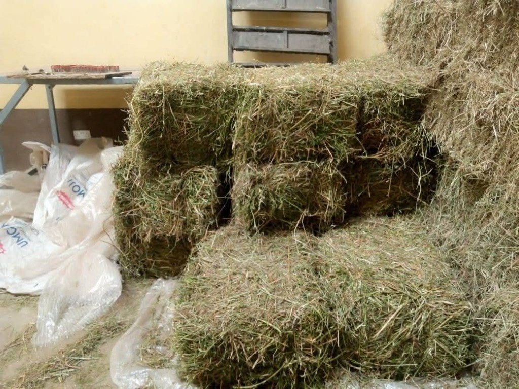 Hay Bales — Katambora & Reclaimer — Graze Tech Fodder Solutions image 2