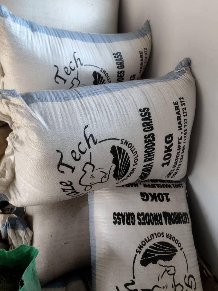 Katambora Rhodes Grass Seed — Graze Tech Fodder Solutions image 2