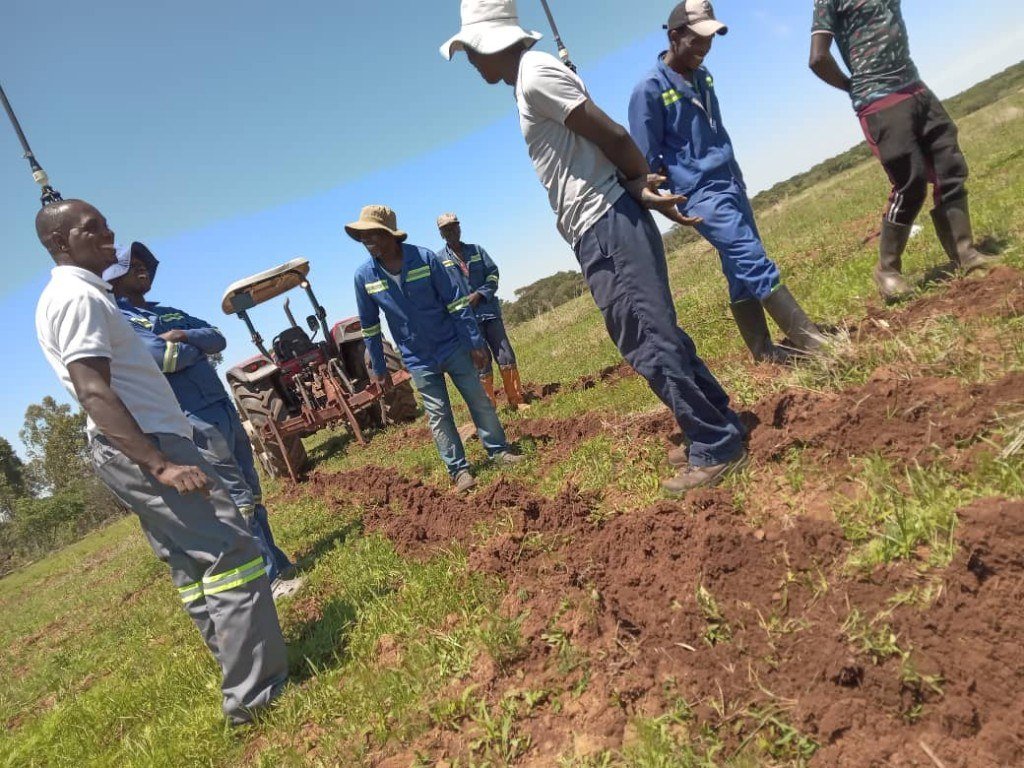 Graze Tech planting guidance in the field